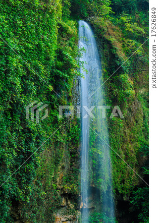 在新綠色背面的瀑布 17626849