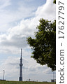 Sky tree of fine weather 17627797