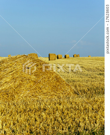 straw stack   17628603