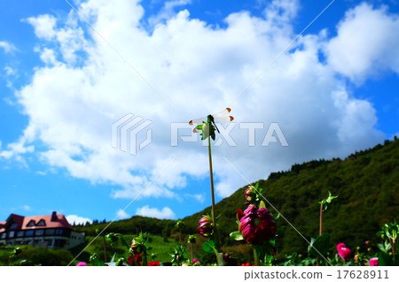 裁剪標記 裁剪標記 17628911