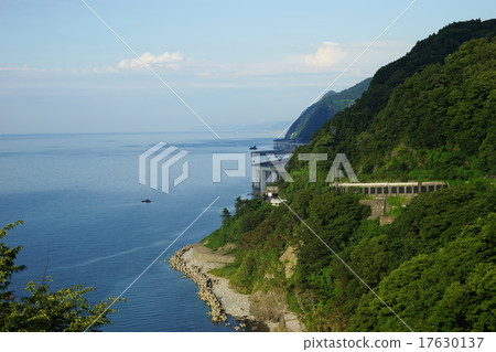 Parent unknown coast 17630137