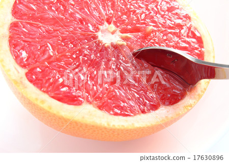 Grapefruit (ruby) Grapefruit (ruby) 17630896