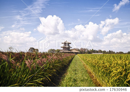 Tamaji城堡廢墟的八角形鼓和紅米 17630946