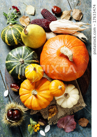 Autumn concept with seasonal fruits and vegetables Autumn concept with seasonal fruits and vegetables 17633474