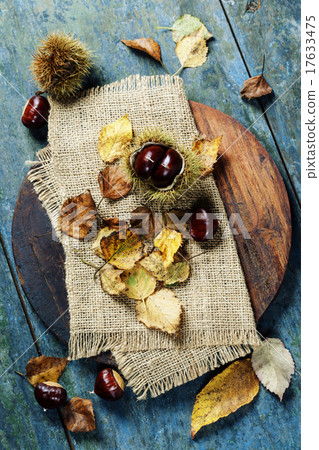 Autumn concept with Chestnuts and leaves 17633475