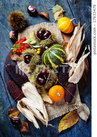Autumn concept with seasonal fruits and vegetables Autumn concept with seasonal fruits and vegetables 17633476