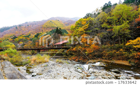 卡比基村 17633642