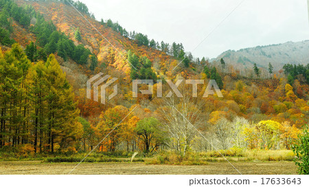 Kabiki village 17633643