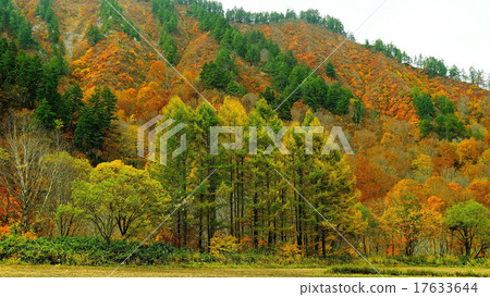 卡比基村 17633644