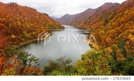 Okadenako Okadenako 17633685