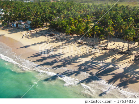 Aerial view of caribbean coastline 17634830