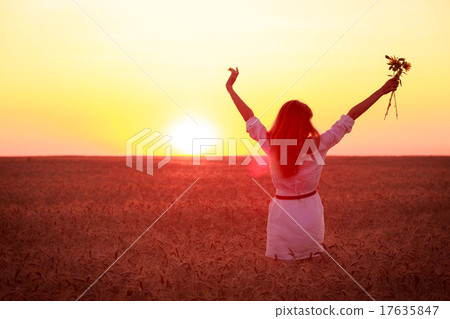 girl on a wheat field girl on a wheat field 17635847