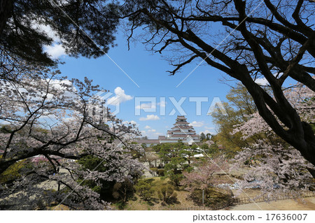 Tsurugajo恢復Tempur Tsurugajo恢復Tempur 17636007
