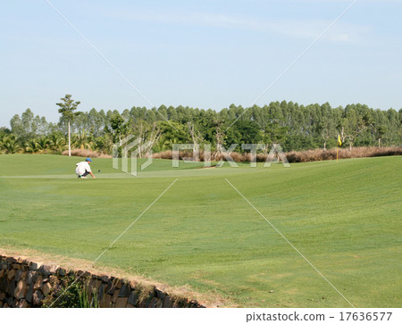 Golf course 17636577