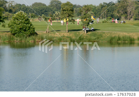 Golf course Golf course 17637028