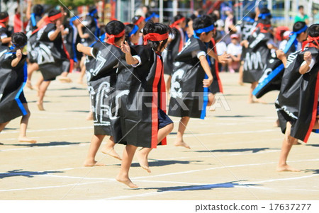 Yosakoi Yosakoi 17637277