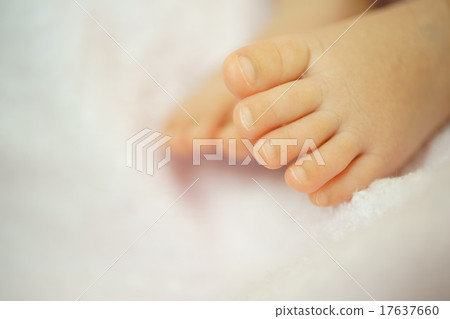 寶寶的腳 寶寶的腳 17637660
