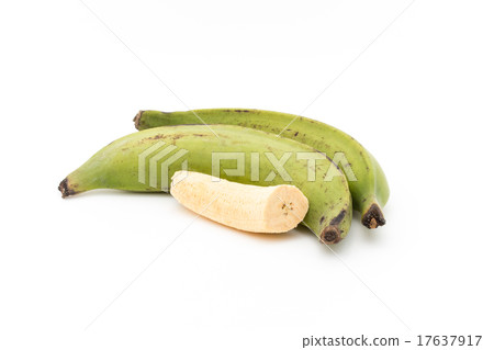 車前草 車前草 17637917