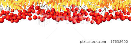 Rowan Border Rowan Border 17638600