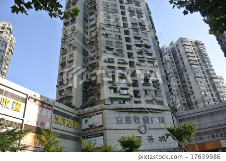 Shanghai City Yangpu District Shanghai City Yangpu District 17639986