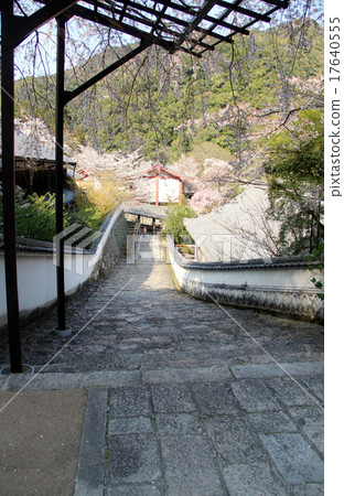 哈斯神廟 17640555