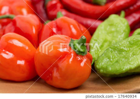 辣椒辣椒 辣椒辣椒 17640934