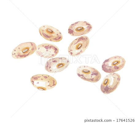 Quail beans 17641526