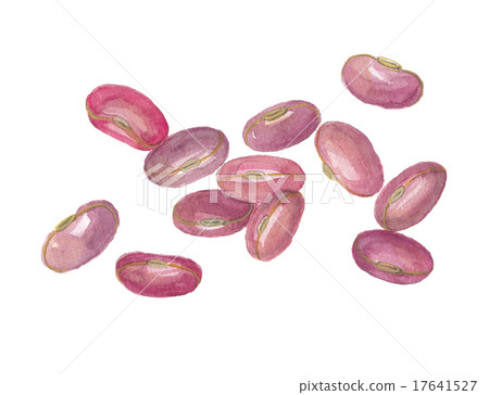 Gold beans 17641527