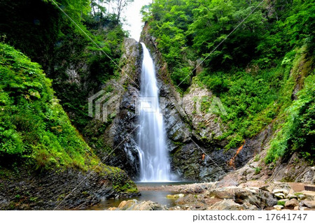 白神山·暗門瀑布·白布美麗的第二瀑布（全景1） 17641747