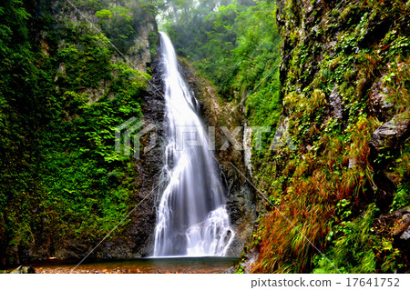 Shirakami mountain · Dark gate waterfall · First waterfall of delicate flow (whole view) 17641752