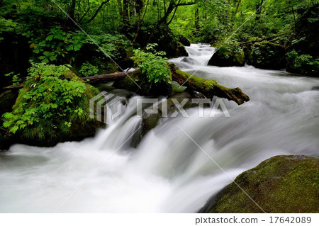 Oirase, the flow of violent Asura (2) Oirase, the flow of violent Asura (2) 17642089