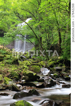Makura Falls Makura Falls 17642288