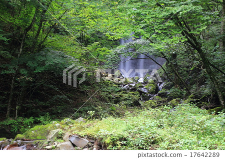 Makura Falls Makura Falls 17642289