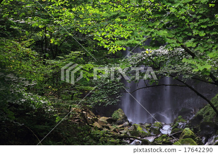 Makura Falls Makura Falls 17642290