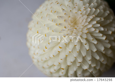 Canary Melon Carving Art Canary Melon Carving Art 17643298