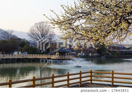 長岡京 長岡京 17643851