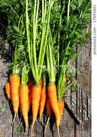 Ripe and fresh organic carrots Ripe and fresh organic carrots 17643881