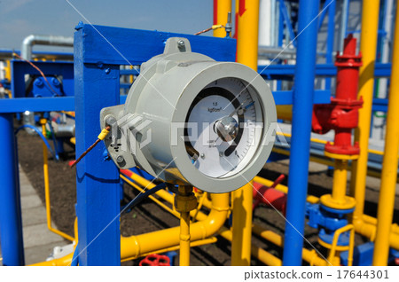 Pressure gauge 17644301