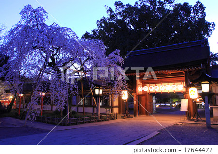 March Kyoto Hirano Shrine · Kamon and Kurakura March Kyoto Hirano Shrine · Kamon and Kurakura 17644472