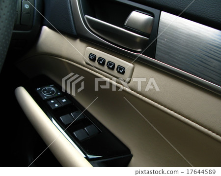 豪華車內飾（車門飾板） 17644589