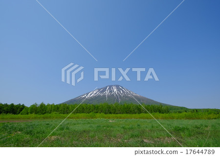 羊蹄山 17644789