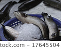 Fish / Klongtooi Market / Bangkok 17645504