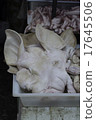 Face of pig / Klongtooi Market / Bangkok 17645506