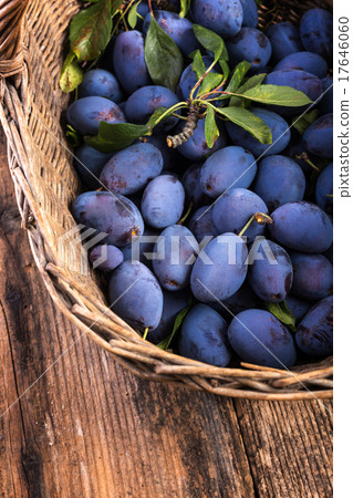 basket full of plums on a wooden table 17646060