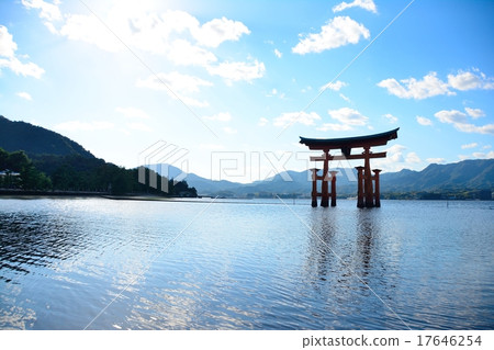 Torii shrine's torii (1) Torii shrine's torii (1) 17646254
