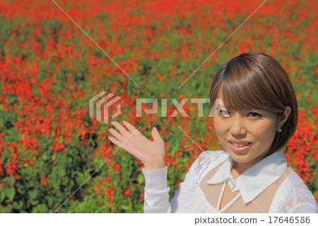 丹參和女性 丹參和女性 17646586