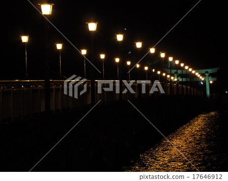 Takeshima Bridge Night view 17646912