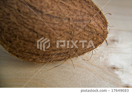 Large whole coconut with hairy surface Large whole coconut with hairy surface 17649083