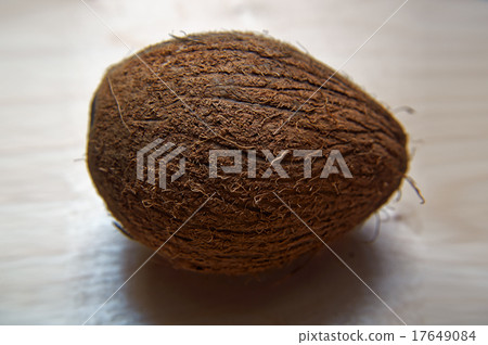 Large whole coconut with hairy surface Large whole coconut with hairy surface 17649084