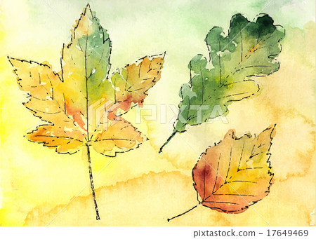 Hand drawn autumn leaves 17649469